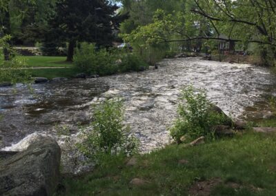Riverside Retreat Cabin River View